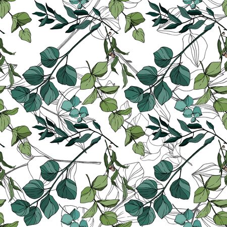 Vector Eucalyptus tree leaves jungle botanical. Black and white engraved ink art. Seamless background pattern.のイラスト素材