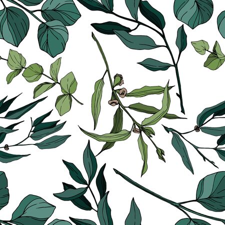 Vector Eucalyptus tree leaves jungle botanical. Black and white engraved ink art. Seamless background pattern.のイラスト素材