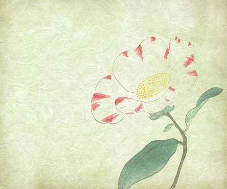 delicate water paint of flower on rice paperの写真素材