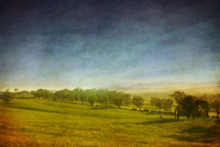 country landscapeの写真素材