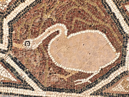 A Byzantine mosaic depicting a bird on the floor of the Great Basilica in the ancient city of Heraclea Lyncestis near Bitola, Macedoniaのeditorial素材