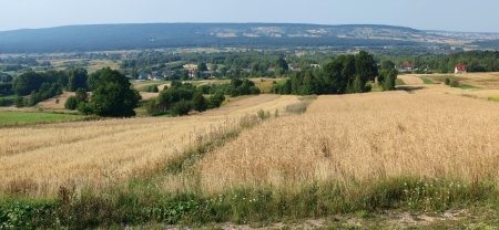 Panorama of the highest mountain chain Lysogory in the Swietokrzyskie Mountains, Polandの写真素材