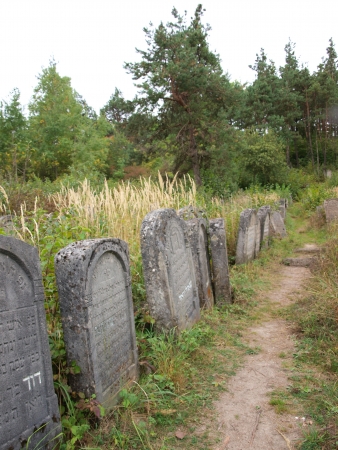 Old Jewish cemetery, Jozefow, Polandのeditorial素材