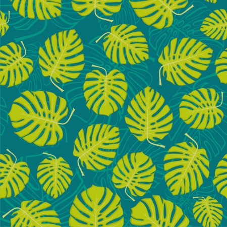 monstera leafs, floral background  vector illustration の写真素材
