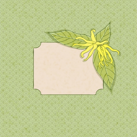 ylang-ylang fframe, soft colors, vector illustration, eps10のイラスト素材