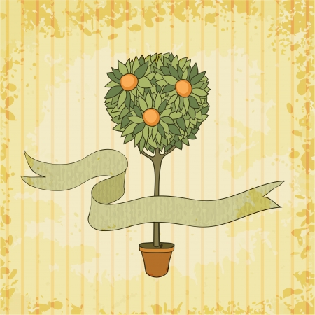 orange tree in the pot,  illustrationのイラスト素材