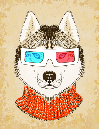 Hand Drawn Husky Dog with 3d Glasses. のイラスト素材