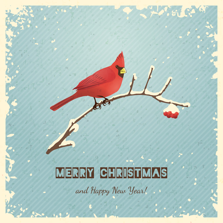 Christmas Greeting Card with Bird.のイラスト素材