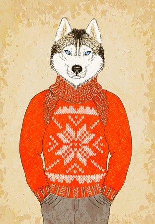 Hand Drawn Hipster Husky Dog Wears Jacquard Sweater. のイラスト素材