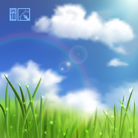 Summer Grass Background. Vector illustration, eps10, editable.のイラスト素材