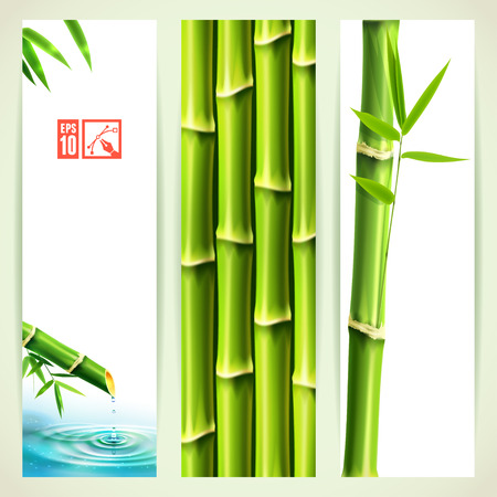 Set of Vertical Bamboo Banners. Vector illustration, eps10, editable.のイラスト素材