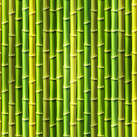 Seamless Background with Bamboo . Vector illustration, eps10.のイラスト素材