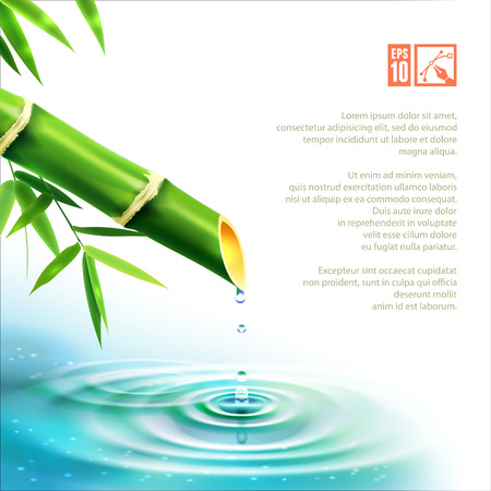 Beauty Bamboo Fountain. Vector illustration, eps10, editable.のイラスト素材