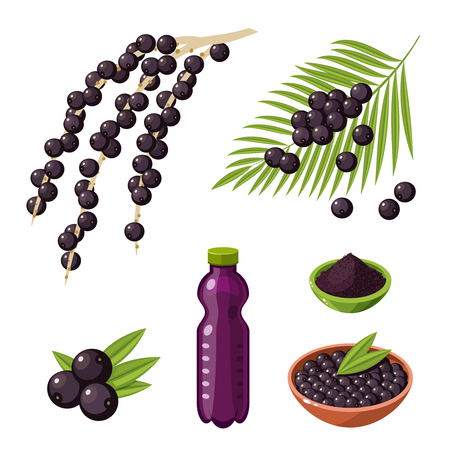 Set of colorful cartoon acai berry superfood products: branch with berries, bottle of juice, powder. Vector illustration flat icon, isolated on white.のイラスト素材