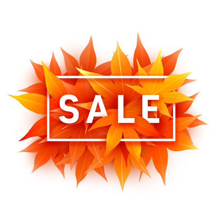 Fall sale. Realistic autumn maple leaves with text. Momiji. Vector illustration isolated on white.のイラスト素材