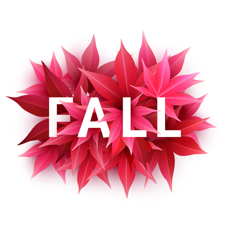 Realistic autumn maple leaves with text.のイラスト素材