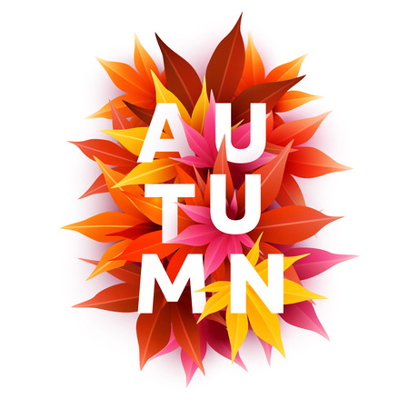 Realistic autumn maple leaves with text.のイラスト素材