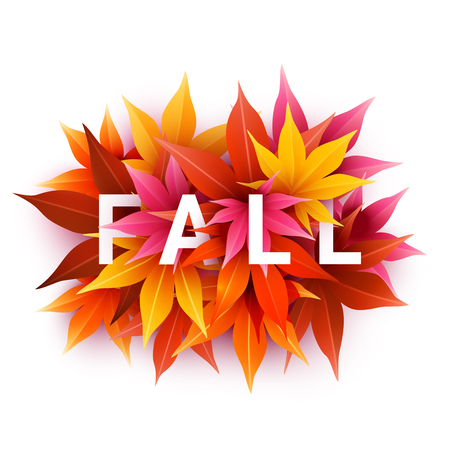 Fall sale. Realistic autumn maple leaves with text.のイラスト素材