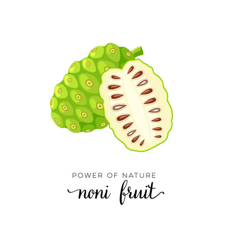 Superfood fruit. Noni fruit. Vector illustration cartoon flat icon isolated on white background.