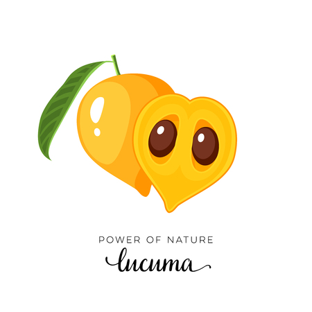Superfood fruit. Lucuma fruit. Vector illustration cartoon flat icon isolated on white background.のイラスト素材