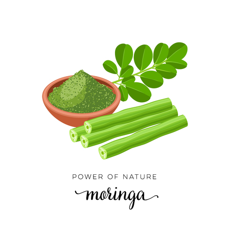 Superfood fruit. Moringa, twig with leaves, powder. Vector illustration cartoon flat icon isolated on white background.のイラスト素材