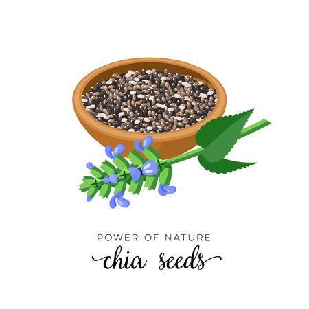 Superfood fruit. Chia seeds and branch with leaves and flowers. Vector illustration cartoon flat icon isolated on white.のイラスト素材