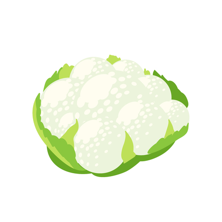 Vegetables illustration.のイラスト素材