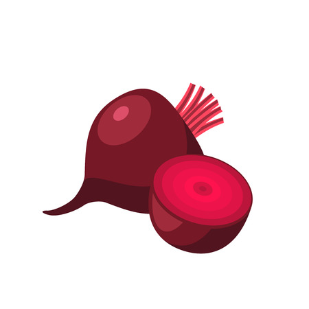 Beetroot illustration.のイラスト素材