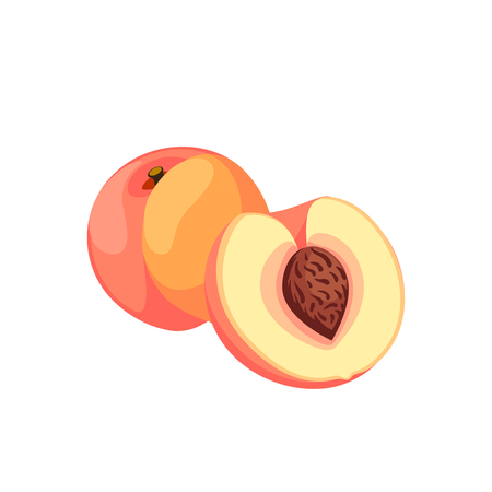 Summer fruits for healthy lifestyle. Ripe peach, whole fruit and half. Vector illustration cartoon flat icon isolated on white.のイラスト素材
