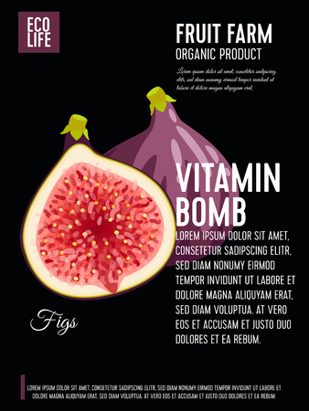 Packaging label. Concept design with inscription. Fig, purple whole fruit and half. Vector flat poster template with text.のイラスト素材