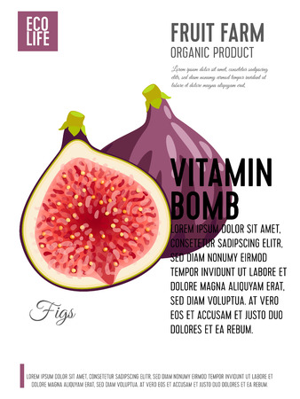 Packaging label. Concept design with inscription. Fig, purple whole fruit and half. Vector flat poster template with text.のイラスト素材