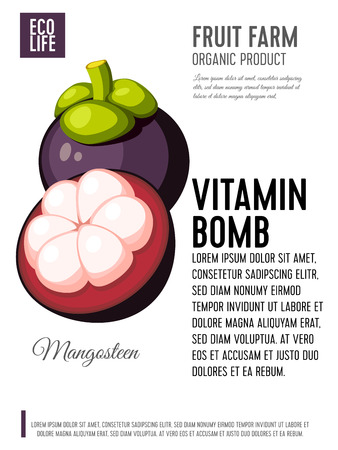 Packaging label. Concept design with inscription. Mangosteen fruit. Vector flat poster template with text.のイラスト素材