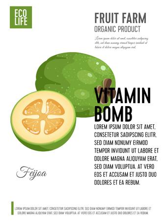 Packaging label. Concept design with inscription. Feijoa, whole fruit and half. Vector flat poster template with text.のイラスト素材