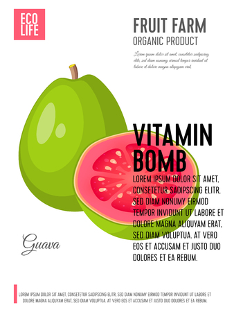 Packaging label. Concept design with inscription. Guava, whole fruit and half. Vector flat poster template with text.のイラスト素材