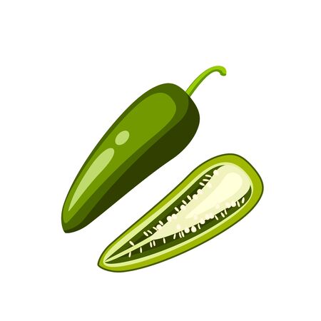 Mexican cuisine. Sliced jalapeno pepper, half and whole. Vector illustration cartoon flat icon isolated on white.のイラスト素材