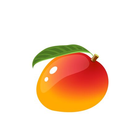 Mango, whole fruit with leaf.のイラスト素材
