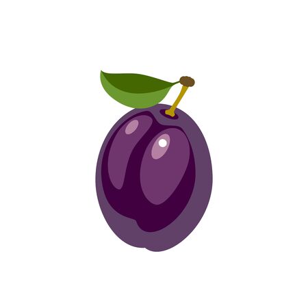 Violet plum, whole fruit. Vector illustration cartoon flat icon isolated on white.のイラスト素材