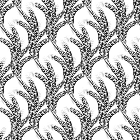Sheaves of wheat spike ear.のイラスト素材