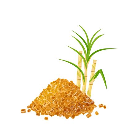 Heap of brown rock cane sugar and sugarcane stems with leaves. Vector illustration cartoon flat icon isolated on white background, template for packaging label design.のイラスト素材