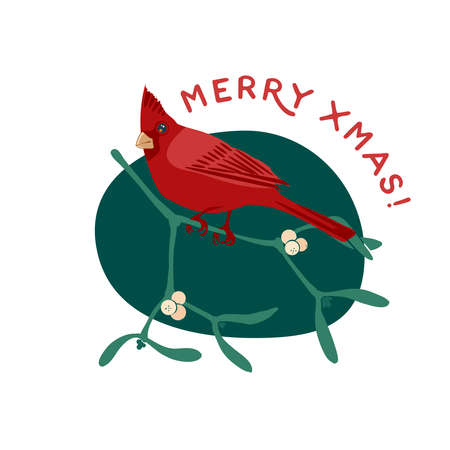 Cardinal bird on mistletoe branch with berries. Merry xmas greeting card. Vector illustration flat cartoon icon isolated on white background.のイラスト素材