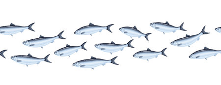 Herring horizontal seamless texture background. Vector illustration flat fish icon isolated on...