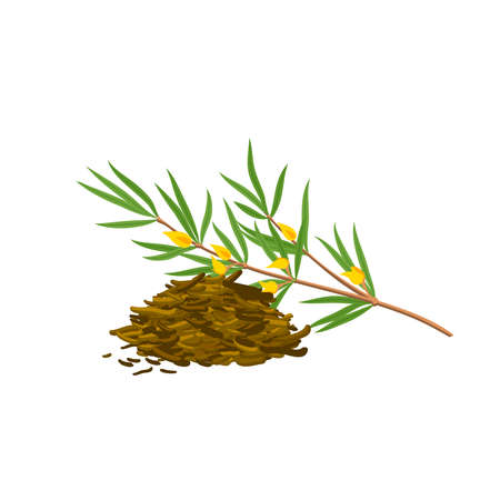 Herbal tea, rooibos. Vector illustration flat cartoon icon isolated on white background.のイラスト素材
