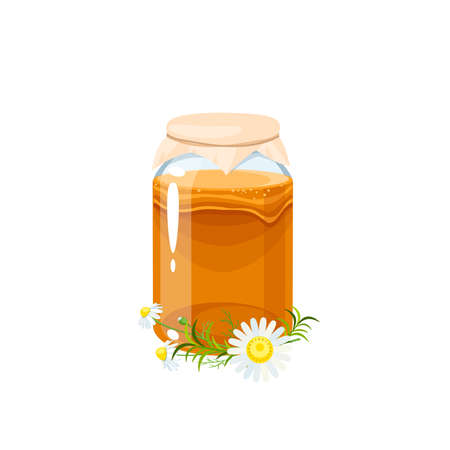 Kombucha fermented tea with chamomile in glass jar. Vector illustration flat cartoon icon isolated on white background.のイラスト素材