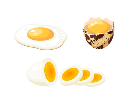 Fried egg, hard boiled sliced egg and cracked quail egg with spotted shell.のイラスト素材