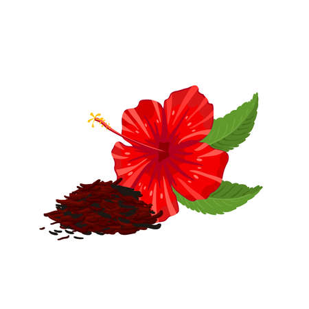 Herbal hibiscus tea heap. Vector illustration cartoon flat icon isolated on white background.のイラスト素材