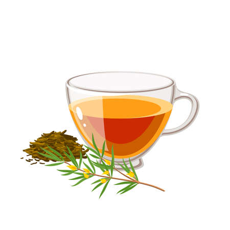 Cup of herbal rooibos tea. Vector illustration cartoon flat icon isolated on white background.のイラスト素材