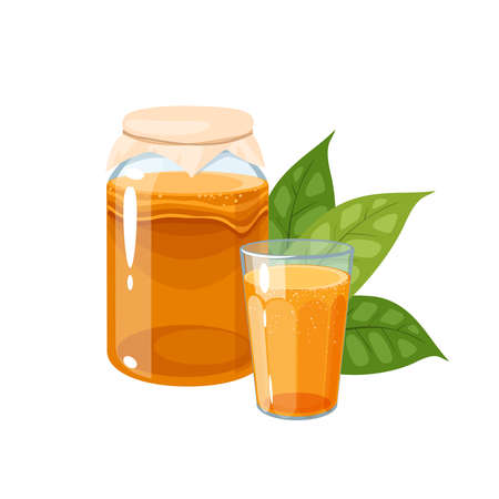 Kombucha fermented tea in glass jar. Vector illustration flat cartoon icon isolated on white background.のイラスト素材