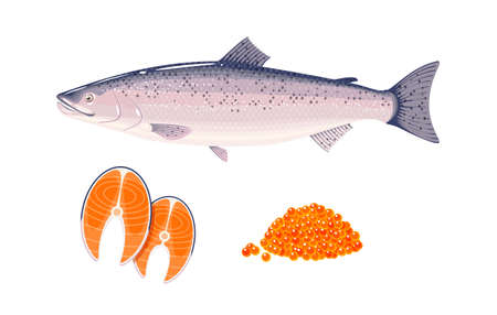 Salmon fish steaks and red caviar. Vector illustration cartoon flat icon set isolated on white background.のイラスト素材