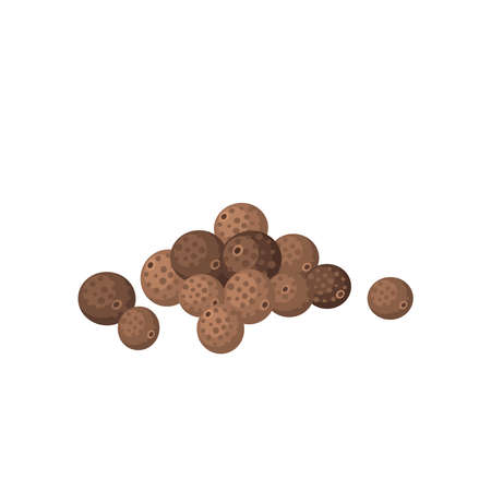 allspice. Vector illustration cartoon flat icon isolated on white background.のイラスト素材