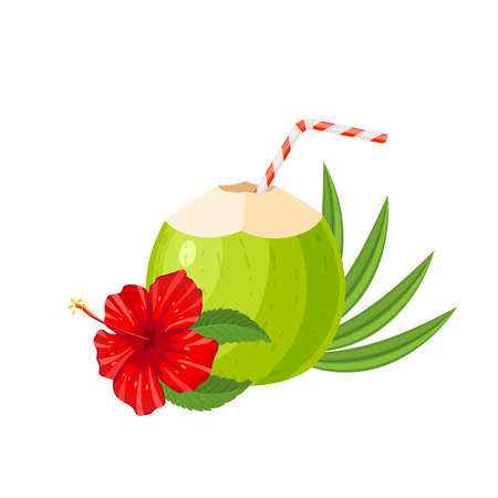 Open young green coconut milk drink with hibiscus. Vector illustration cartoon flat icon isolated on white.のイラスト素材